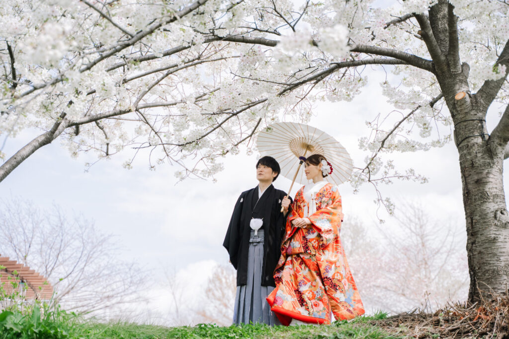 桜の木の下で白い番傘を手に持ち遠くを見つめる和装前撮りカップル ロケーションフォト